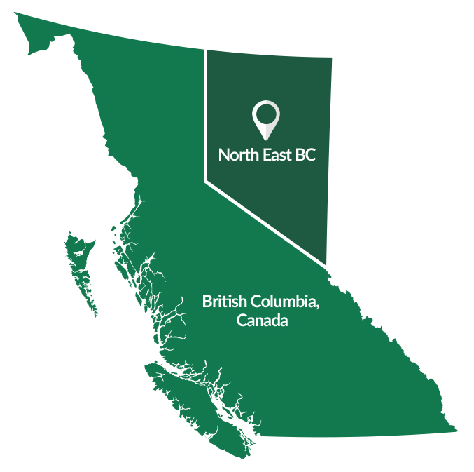North East BC Real Estate